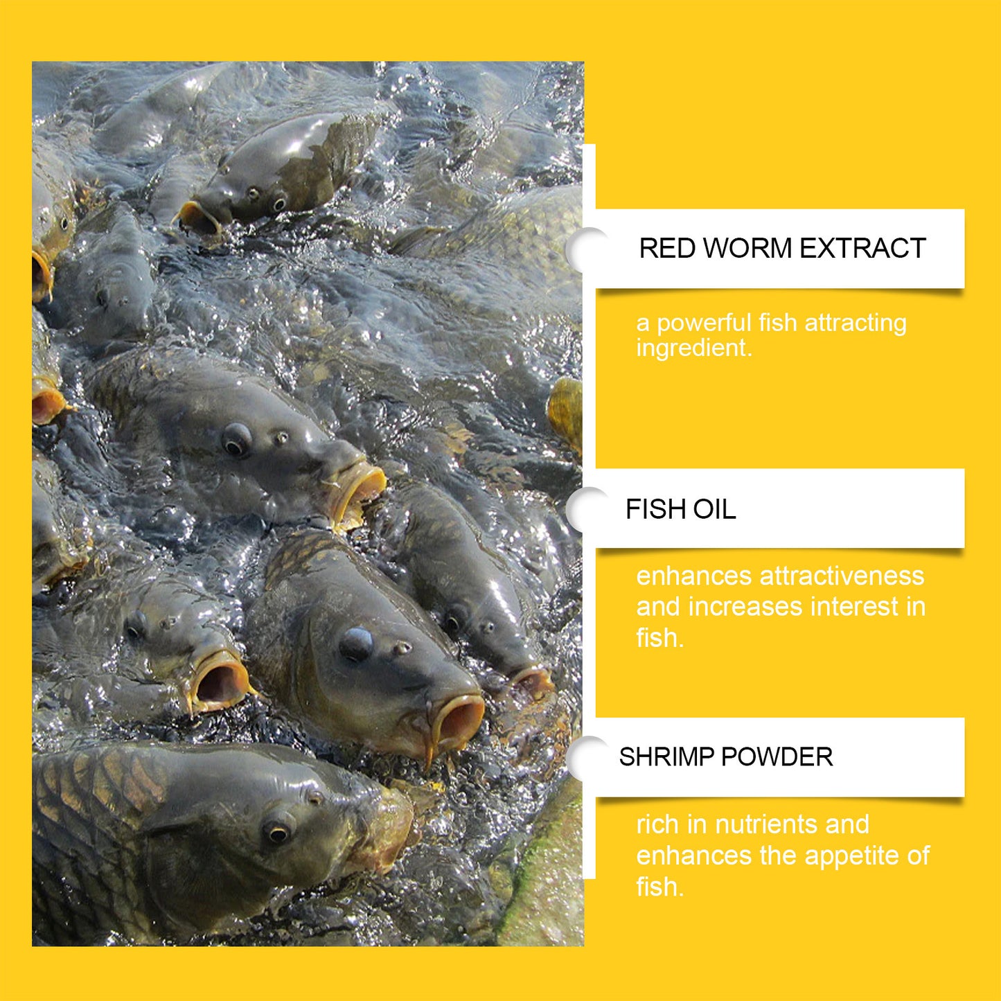 Red worm fishing bait, fish feed, nutritious for fishing, fishing in the wild, attracting fish
