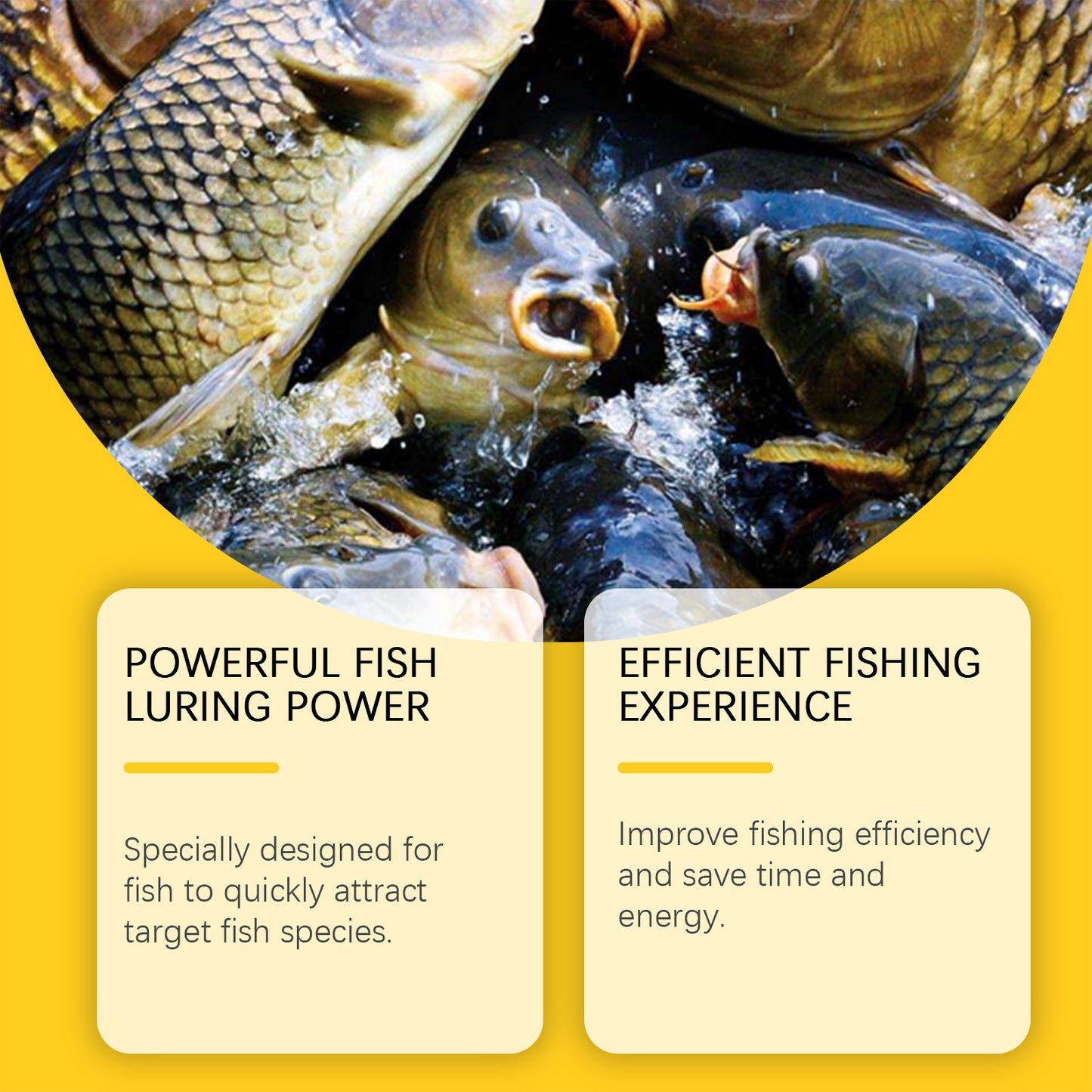 Red worm fishing bait, fish feed, nutritious for fishing, fishing in the wild, attracting fish